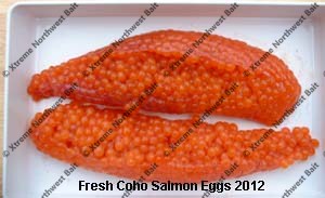 Fresh Salmon Egg, Fresh Salmon Roe, Xtreme Northwest Bait Co